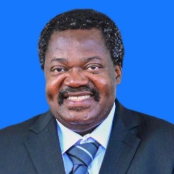 Emmanuel John Nchimbi photo