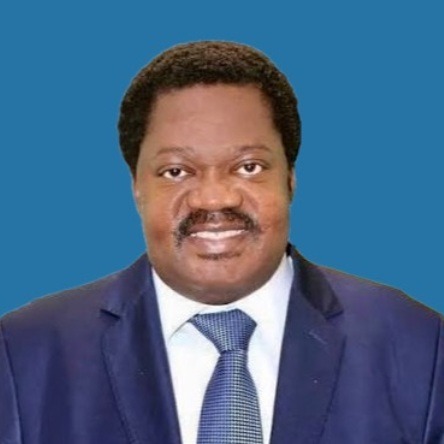 Emmanuel John Nchimbi photo