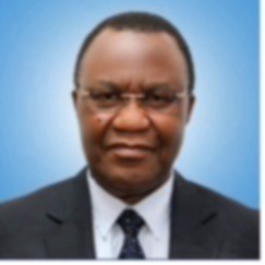 William Vangimembe Lukuvi